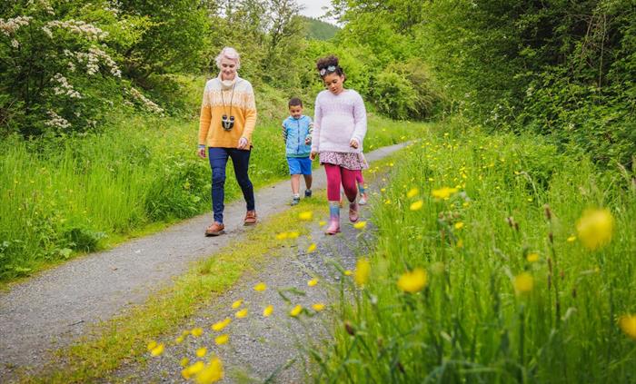 Trail on disused railway track alongside Cors Caron